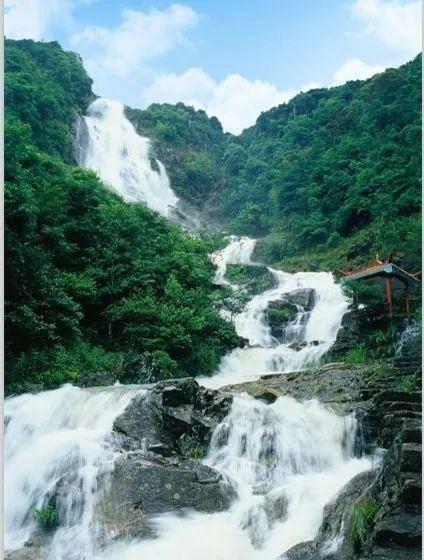 为什么明星减肥那么容易游戏画面