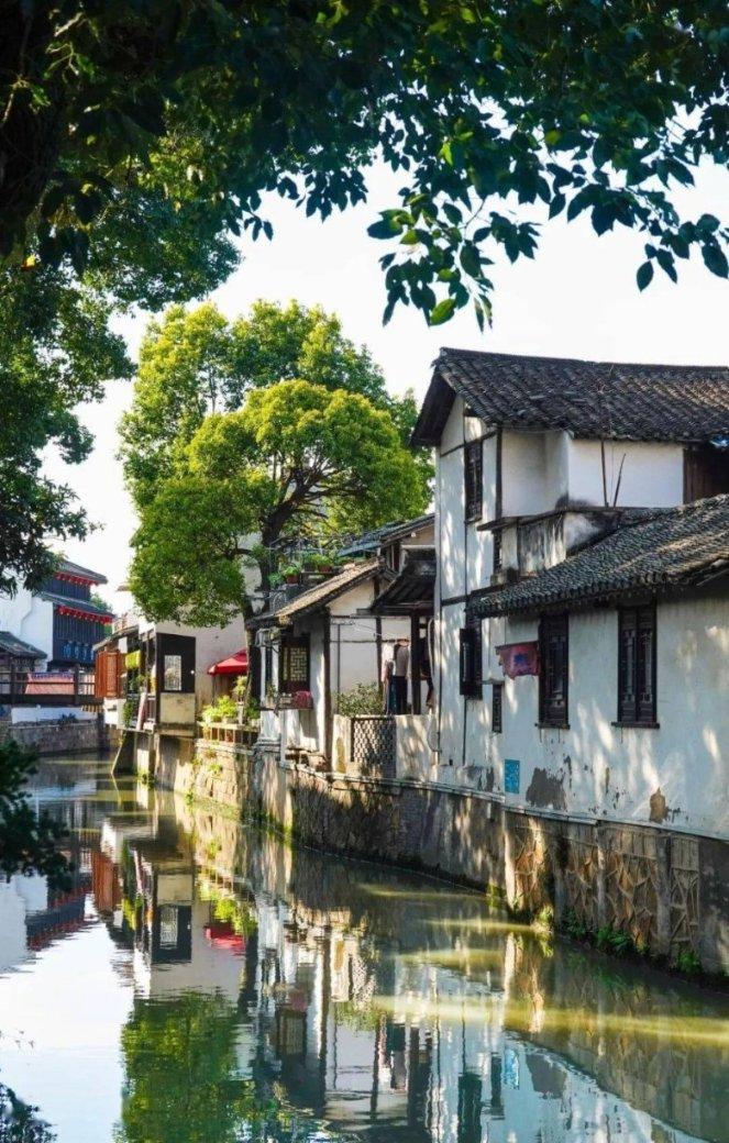 熊出没水果大陆2
